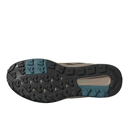Terrex Anylander Hiking Shoes
