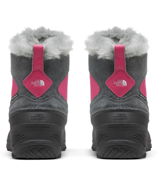 The North Face - Shellista Extreme - Youth - Pinecone Brown/Pikes Purple